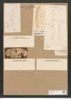 Amphora egregia Ehr. (de-Toni-Nr.: Genus 36, Species 1660) Zeichnungen Sammlung Grunow Nr. 3179 (NHMW-BOT-W0370621)